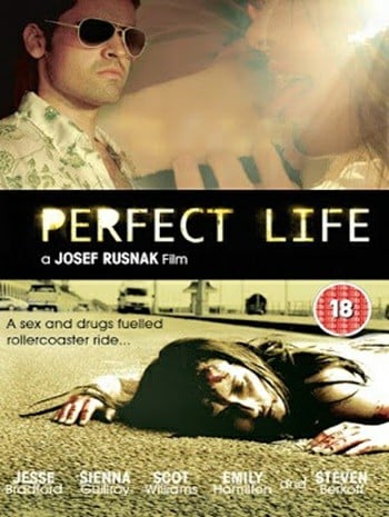 A Perfect Life (2010) พิศวาสสีเลือด