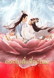 Burning Peony (2022) ดอกโบตั๋นที่ลุกไหม้