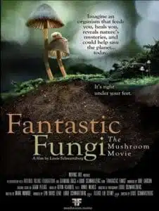 Fantastic Fungi (2019) เห็ดมหัศจรรย์