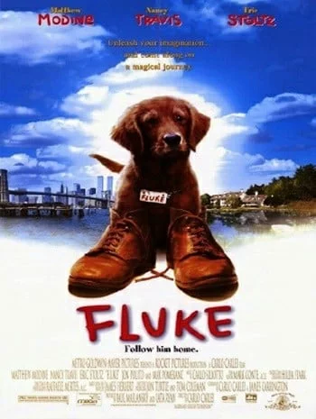 ดูหนังออนไลน์ Fluke (1995) เกิดใหม่กลายเป็นหมา