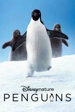 Penguins (2019) เพนกวิน