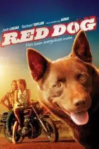 ดูหนังออนไลน์ Red Dog (2011) เพื่อนซี้ หัวใจหยุดโลก