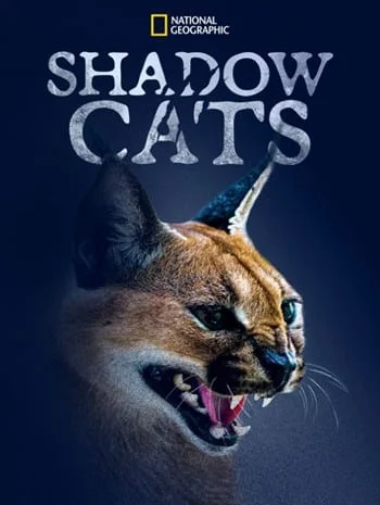 ดูหนังออนไลน์ Shadow Cats (2022) แมวแห่งเงา
